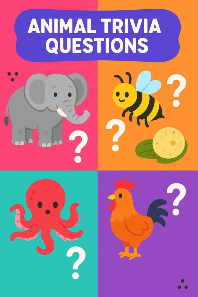 Animal trivia pin