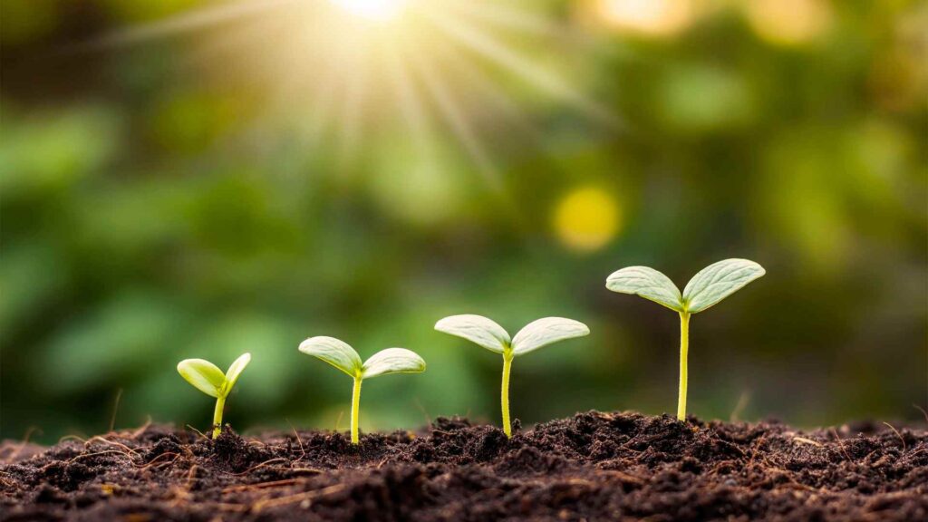 earth trivia questions