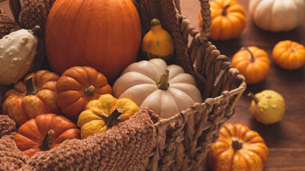 fall trivia