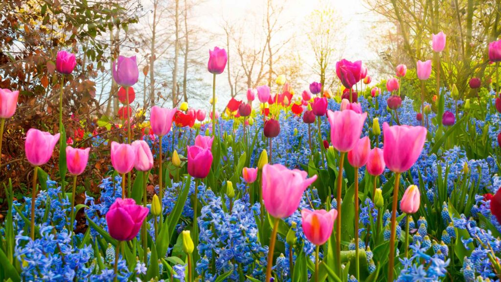 spring trivia