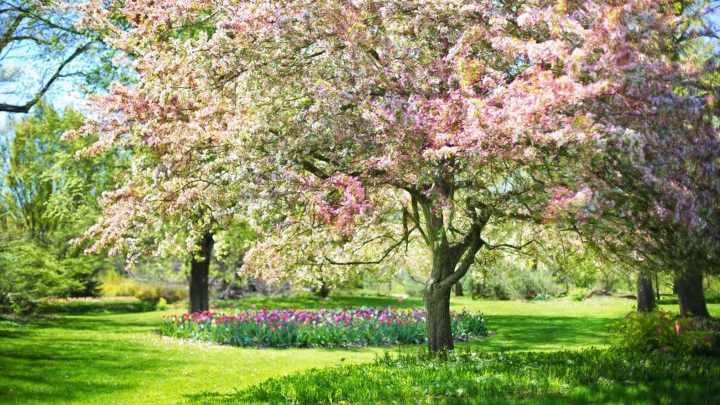 spring trivia