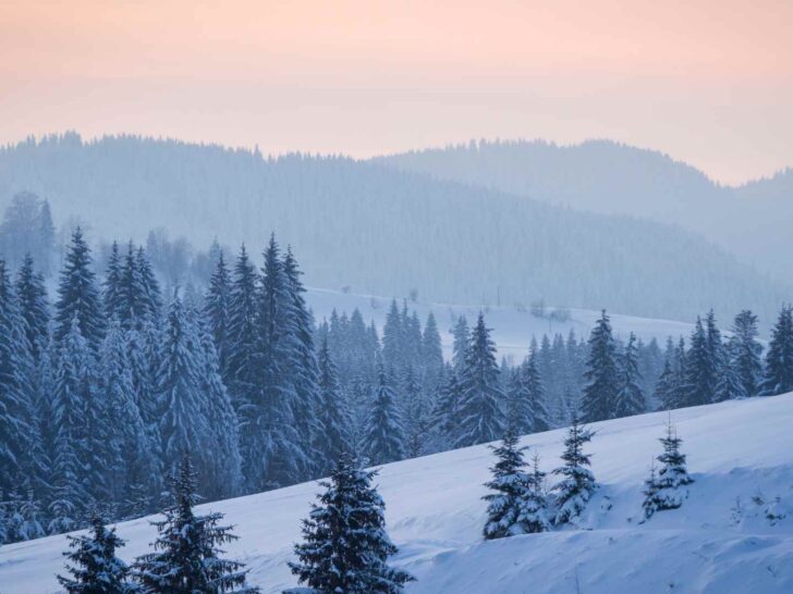 winter trivia