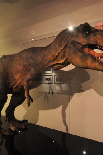 Tyrannosaurus rex effects maquette from Jurassic Park