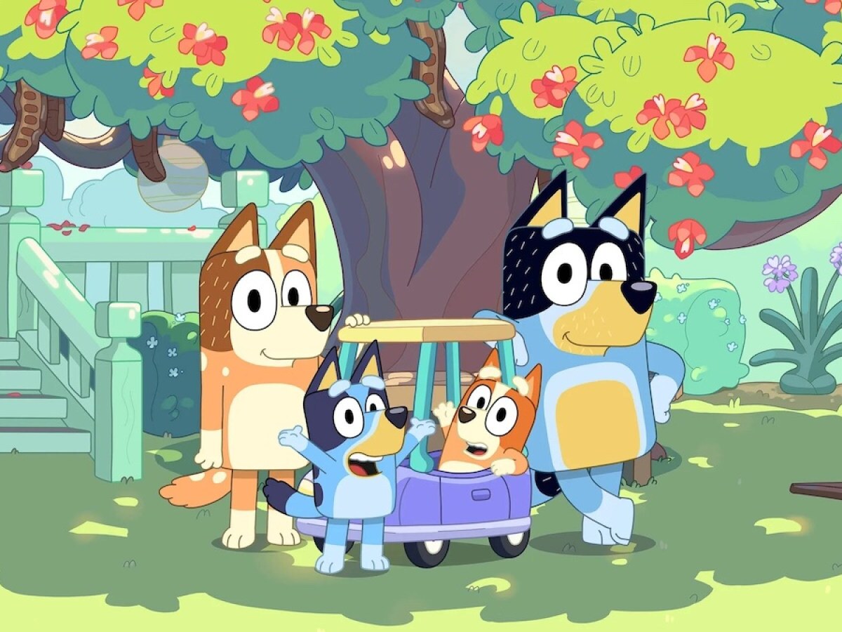 Bluey, Bingo, Bandit, and Chilli playing in the backyard