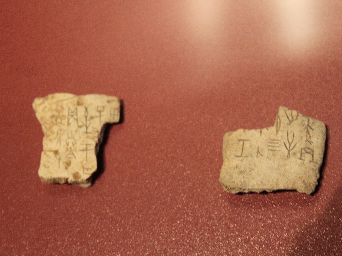 Inscribed Shang dynasty oracle bone fragments on display