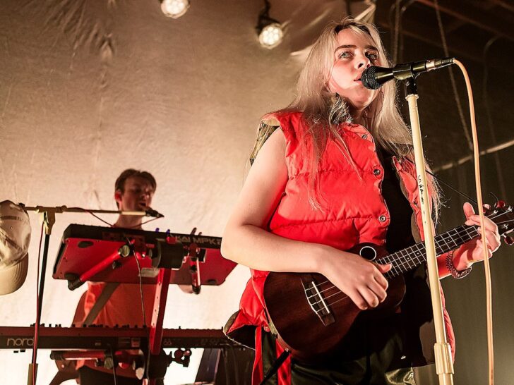 Billie Eilish performing live in Los Angeles in 2017