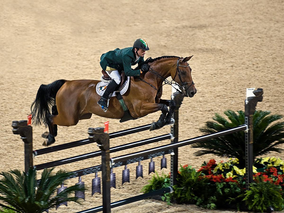 Horse and rider clearing a show jumping obstacle