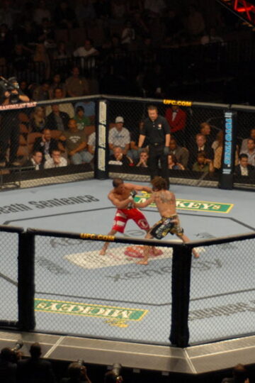 Clay Guida and Marcus Aurelio fighting inside the Octagon at UFC 74