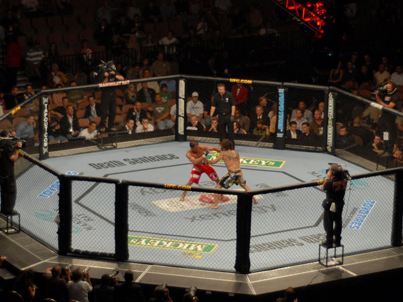 Clay Guida and Marcus Aurelio fighting inside the Octagon at UFC 74