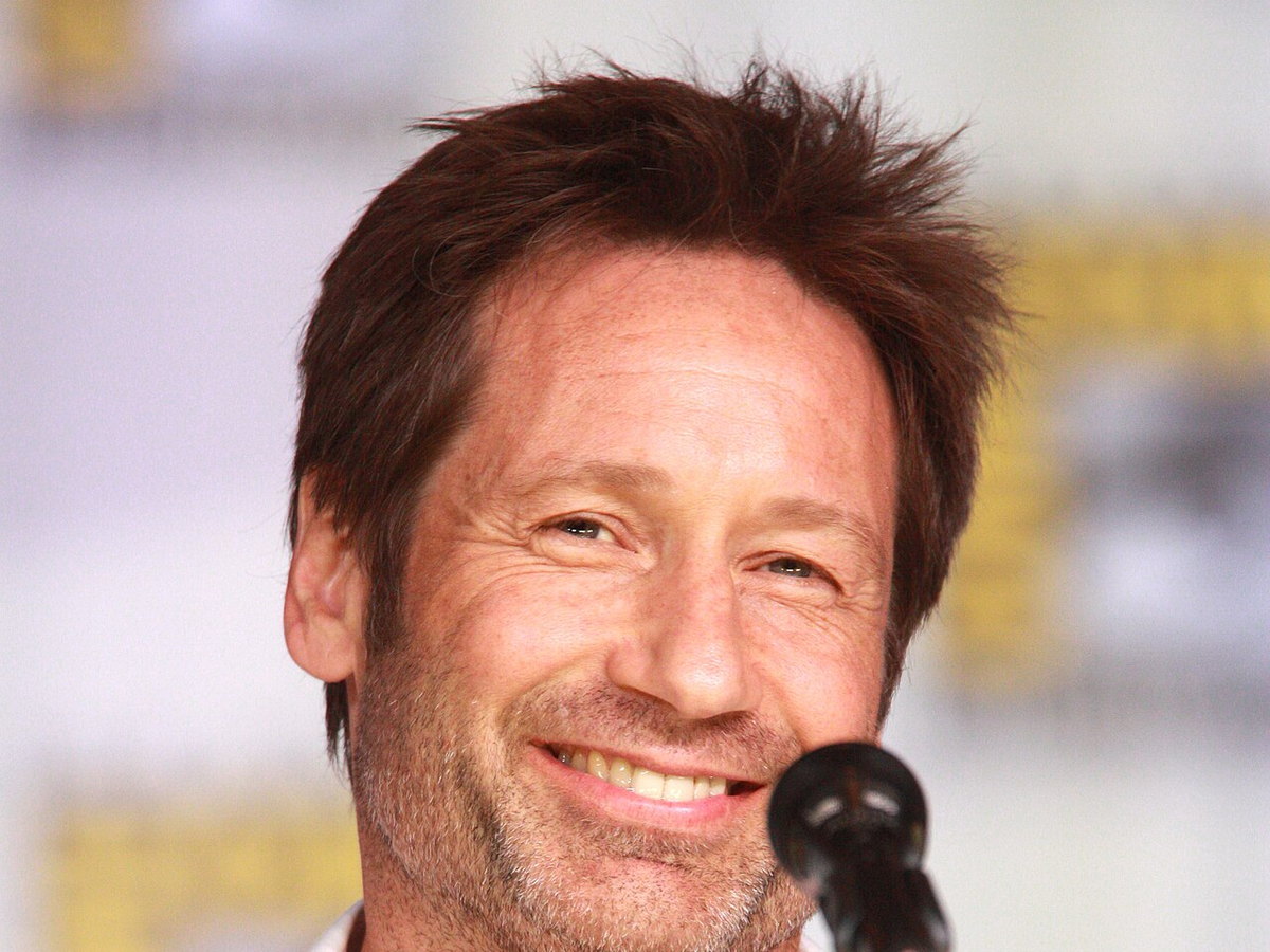 David Duchovny, who played Fox Mulder in The X-Files