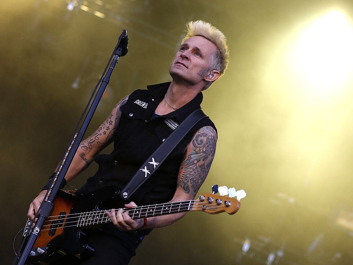 Green Day bassist Mike Dirnt performing live at Rock im Park
