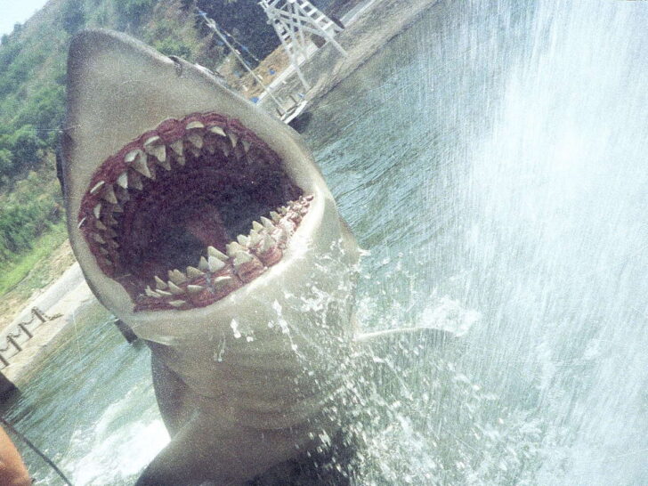 Jaws shark set piece at Universal Studios Hollywood