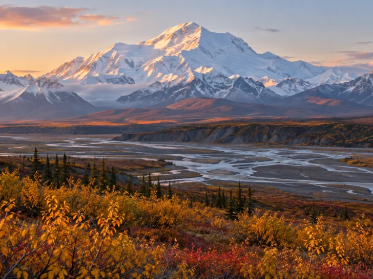 Denali rises above a braided river and golden autumn tundra