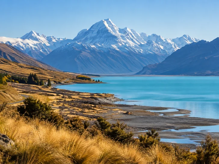 Aoraki Mount Cook above turquoise Lake Pukaki and golden tussock
