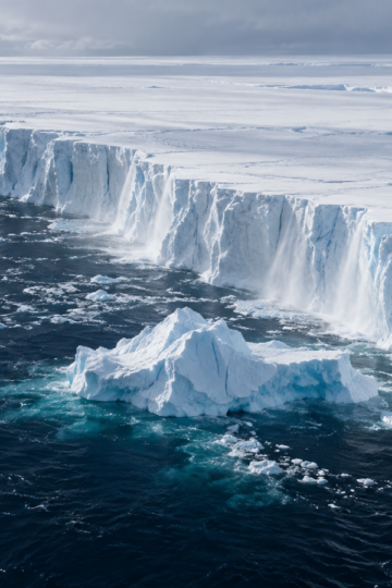 A newly calved blue iceberg floats beside a vast Antarctic ice shelf.