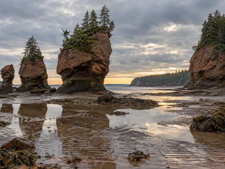 Red sea stacks rise above tidal pools at the Bay of Fundy in New Brunswick.