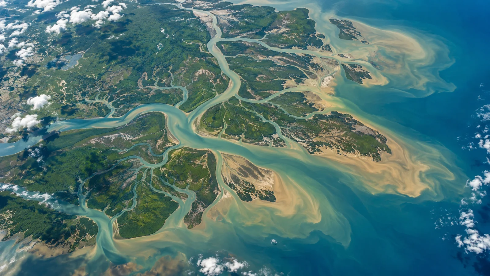 Branching turquoise river delta carrying amber sediment into the sea