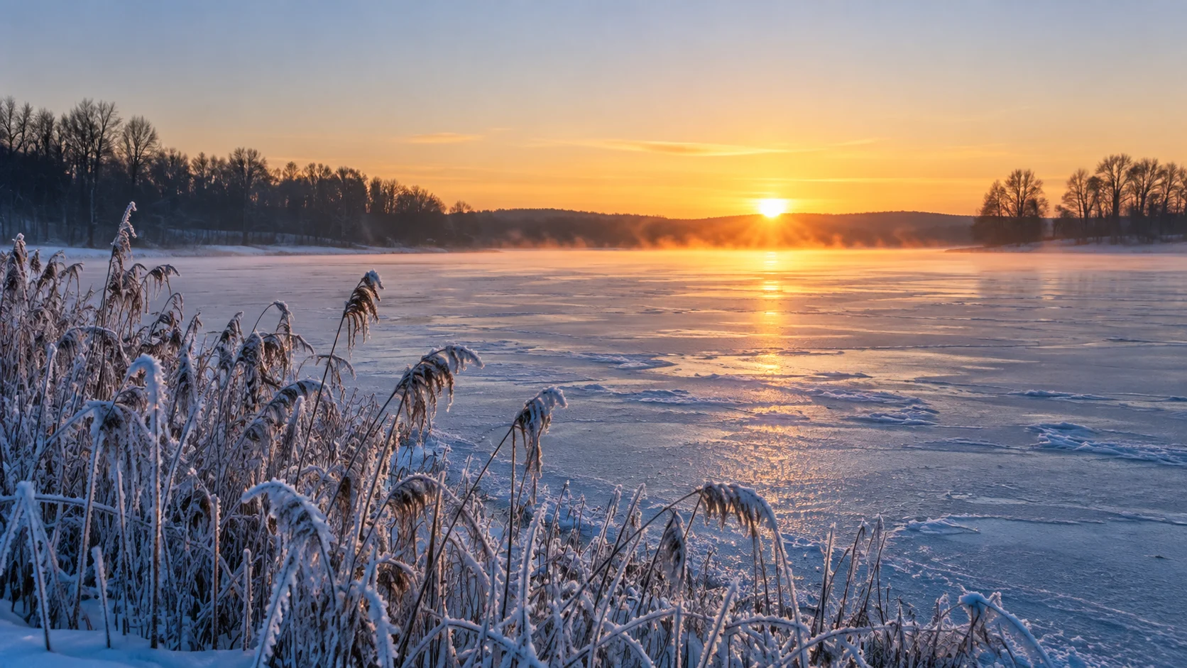 First light spreads across a frozen lake and frost-covered reeds.