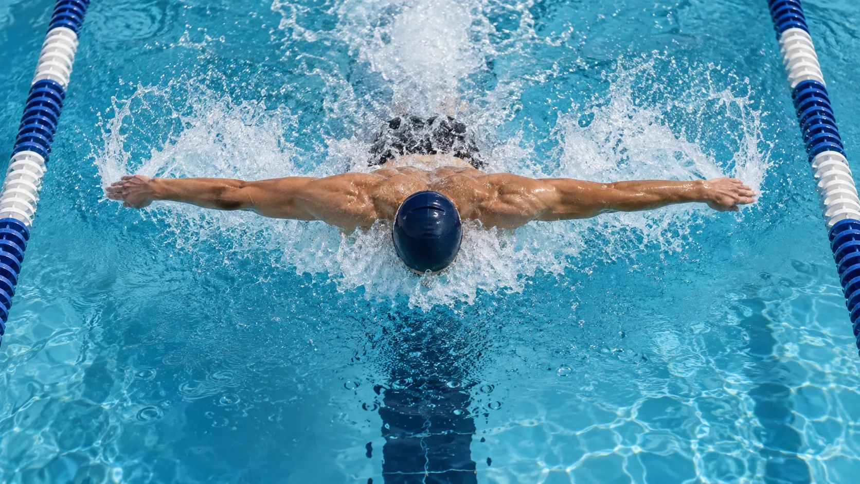 Anonymous competitive swimmer performing butterfly in a clear pool lane